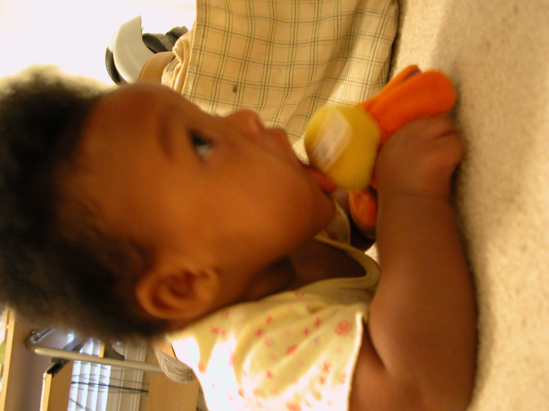 DSCN0070.JPG