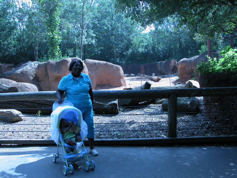 With Grandma D at the zoo