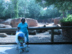 With Grandma D at the zoo