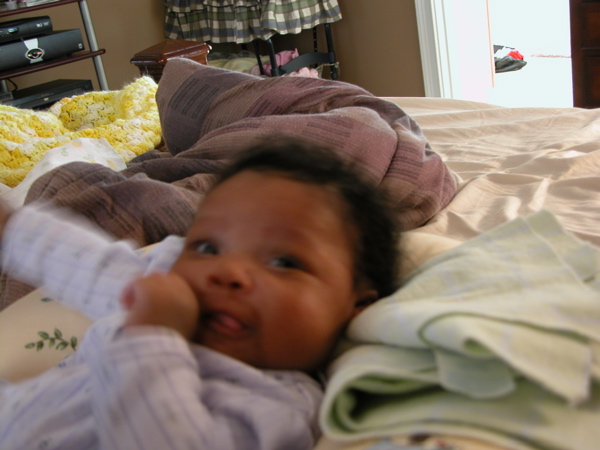 DSCN0804.JPG