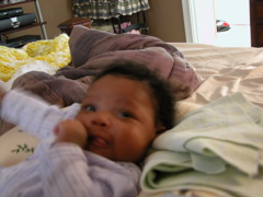 DSCN0804.JPG
