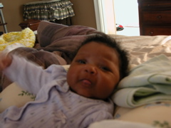 DSCN0808.JPG