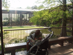 Snooze in shade
