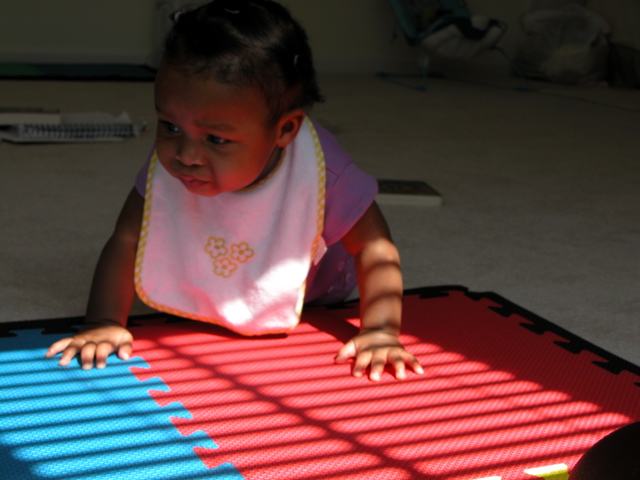 Crawling...