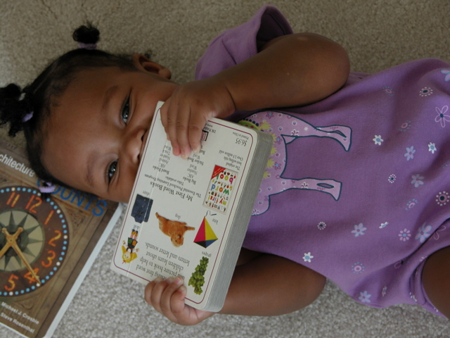 Eating Books