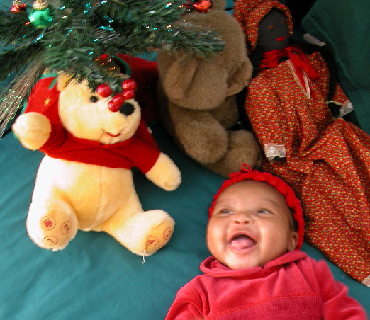 gift under a tree