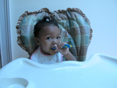 the food gets in there